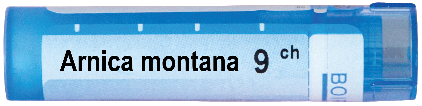 Arnica Montana 9 CH